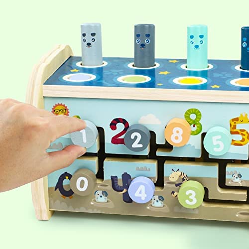 Juego De Clasificación De Formas Y Colores COONE – Juguete Montessori De Madera Para Niños De 1 A 3 Años, 6 Formas Y 6 Colores, Incluye Bolsa De Lona